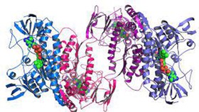 Hình ảnh dạng 3D các cấu trúc protein do AI của DeepMind lập