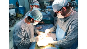 Một ca ghép gan được thực hiện tại Bệnh viện Nhi đồng 2 (TPHCM). Ảnh: MINH NAM