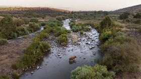 Israel công bố kế hoạch sinh thái