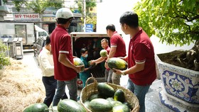 Công ty CP Đầu tư và Xây dựng Phúc Khang đã quyết định hỗ trợ tiêu thụ 20 tấn dưa hấu cho nông dân tỉnh Gia Lai