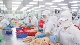 697 doanh nghiệp Việt đủ điều kiện xuất khẩu thủy sản vào lãnh thổ Đài Loan
