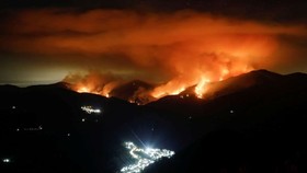 Cháy rừng trên núi Sierra Bermeja, thuộc tỉnh Malaga, Andalusia, Tây Ban Nha. Ảnh: REUTERS