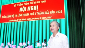 Phó Chủ tịch UBND TPHCM Ngô Minh Châu phát biểu tại hội nghị
