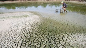 Việt Nam cần khoảng 368 tỷ USD thích ứng với biến đổi khí hậu