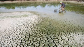 Tăng cường giải pháp thích ứng biến đổi khí hậu