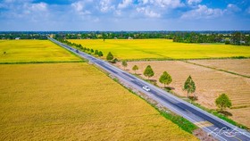 Giữ ổn định 3,5 triệu ha đất trồng lúa