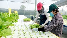 Kết nối công nghệ xanh, nông nghiệp sạch