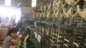 Nhiều dư địa cho sản xuất sản phẩm hỗ trợ
