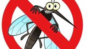 Muỗi là một trong những nguồn lây bệnh sốt rét
