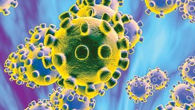 Hiểu và phòng tránh virus corona