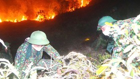 Nỗ lực ngăn cháy rừng tại Nghệ An, Hà Tĩnh và Thừa Thiên - Huế