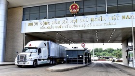 Cán cân thương mại hàng hóa của Việt Nam thặng dư 16,99 tỷ USD