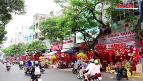 Phố Hải Thượng Lãn Ông nhộn nhịp mùa tết