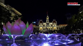 Đường phố trung tâm TPHCM bừng sáng đèn tết