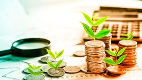 TPDN là kênh dẫn vốn quan trọng của DN cũng như cơ hội cho NĐT, tuy nhiên điều quan trọng phải biết chọn lựa thương hiệu DN.