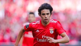Joao Felix trong màu áo Benfica