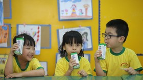 Chương trình sữa học đường đã và đang được triển khai tại nhiều tỉnh thành phố trên cả nước