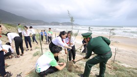 Các học sinh, đoàn viên thanh niên, chiến sĩ bộ đội cùng tham gia trồng cây