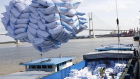 Bốc xếp gạo xuất khẩu tại cảng Sài Gòn. (Ảnh: TTXVN)