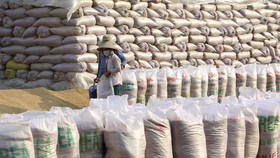 Tái cơ cấu, tăng giá trị cho gạo Việt Nam