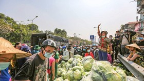 Một điểm giải cứu nông sản tại Hà Nội (Ảnh: Minh Sơn/Vietnam+)