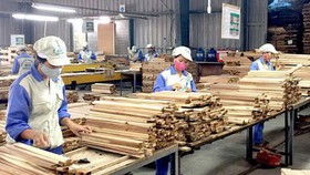 “Lỗ hổng” gỗ hợp pháp trong đấu thầu mua sắm công