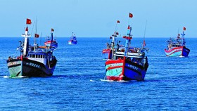 Bộ Nông nghiệp và Phát triển nông thôn yêu cầu xử lý nghiêm các tổ chức, cá nhân để tàu cá vi phạm vùng biển nước ngoài khai thác hải sản trái phép - Ảnh minh họa
