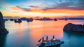 Du lịch Việt thoi thóp chờ ‘hồi sức cấp cứu’ 