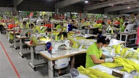 Sản xuất các mặt hàng may mặc tại Nhà máy may Tân Đệ 1, tỉnh Thái Bình. (Ảnh: Thế Duyệt/TTXVN)