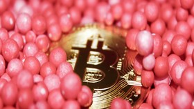 Bitcoiner có thật sự “không quan tâm” đến giảm giá?