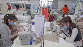 May hàng xuất khẩu tại Công ty TNHH Hưng Việt, Mỹ Hào, Hưng Yên. (Ảnh: Trần Việt/TTXVN)