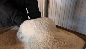 EU chỉ dành một hạn lượng là 80.000 tấn cho gạo trong Hiệp định thương mại tự do Việt Nam-EU (EVFTA). (Ảnh: Hồng Điệp/TTXVN)