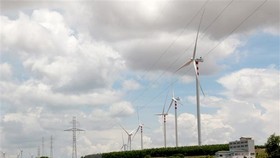 Những cột điện gió tại địa bàn huyện Bắc Bình, Ninh Thuận. (Ảnh: Nguyễn Thanh/TTXVN)