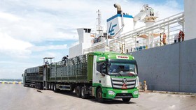 Xe chuyên dụng Thilogi tiếp nhận bò nhập khẩu tại cảng để vận chuyển đến trang trại
