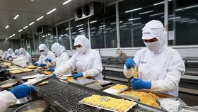 Dây chuyền chế biến sản phẩm tôm xuất khẩu tại nhà máy chế biến thủy sản COFIDEC, Khu công nghiệp Vĩnh Lộc, huyện Bình Chánh, TP Hồ Chí Minh. (Ảnh: Hồng Đạt/TTXVN)