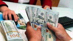 USD tăng giá kỷ lục, doanh nghiệp vay nợ lớn bị tác động ra sao?