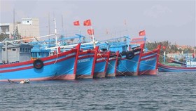 Khắc phục "thẻ vàng" IUU: Còn nhiều tồn tại khi kiểm tra liên ngành