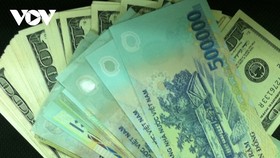 Tiền đồng Việt Nam (VND) được đánh giá là nằm trong nhóm ít mất giá nhất so với đồng đô la Mỹ (USD).