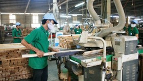 Nhiều doanh nghiệp chế biến sản phẩm gỗ đang cắt giảm lao động.