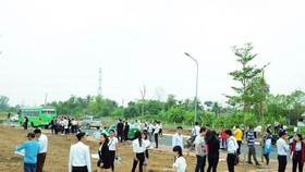Ảnh minh họa.