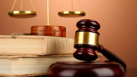 Tài sản của pháp nhân thương mại có thể bị kê biên khi thi hành cưỡng chế chấp hành biện pháp tư pháp mại 