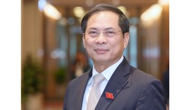 Tân Bộ trưởng Bộ Ngoại giao Bùi Thanh Sơn. Ảnh: QUANG PHÚC 