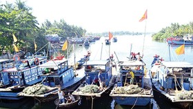 Với đặc thù nghề cá nhỏ lẻ, Việt Nam đang bị cảnh báo thẻ vàng của Ủy ban châu Âu (EC) từ tháng 10-2017
