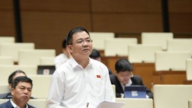 Đại biểu Nguyễn Minh Đức (TPHCM)