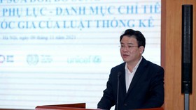 Ông Trần Quốc Phương, Thứ trưởng Bộ KH-ĐT phát biểu tại hội thảo 