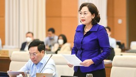 Thống đốc Ngân hàng Nhà nước Nguyễn Thị Hồng báo cáo tại  phiên họp của  Ủy ban Thường vụ Quốc hội về thí điểm xử lý nợ xấu của các tổ chức tín dụng
