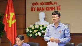 Chủ nhiệm Ủy ban Kinh tế Vũ Hồng Thanh phát biểu khai mạc phiên họp  ​
