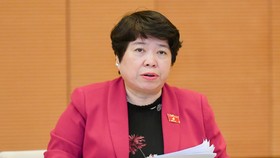 Chủ nhiệm Ủy ban Xã hội Nguyễn Thúy Anh báo cáo tại phiên họp. Ảnh: VIẾT CHUNG