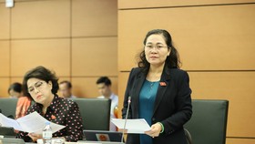 ĐB Nguyễn Thị Lệ phát biểu tại phiên họp tổ ĐBQH TPHCM sáng 3-11. Ảnh: QUANG PHÚC