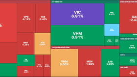 VIC tăng trần góp vào VN-Index gần 5 điểm nhưng VN-Index vẫn giảm 